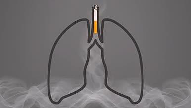 世界禁烟日AE模板吸烟有害健康禁烟片头视频的预览图